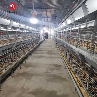 H Type 3 Tiers 4 Tiers Poultry Farm Broiler Cage Equipment for 50000 chickens