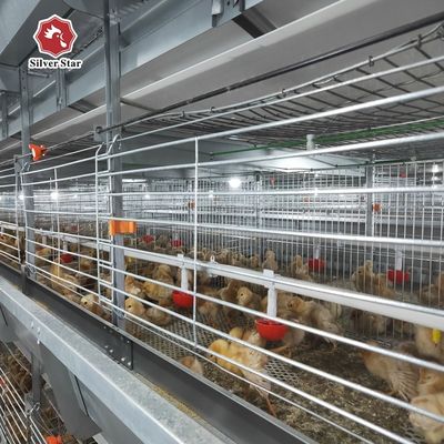 Hot-dip Galvanized Steel H Type Broiler Chicken Cage with Modular Automatic System and Adjustable Breeding Tiers