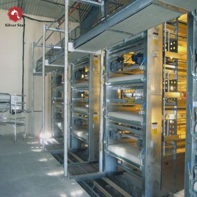 Battery Cage System for Layers Automatic Poultry Equipment Chicken Egg Farm Solution