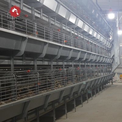 Automated H-Type Broiler Cage System with Hot-Dip Galvanizing for High-Density Farming & Automatic Manure Cleaning