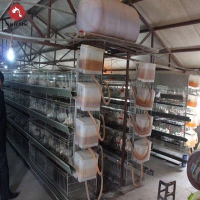 Kenya H Type 3 / 4 Layers Chicken Layer Cages Poultry Farm  Breeding System