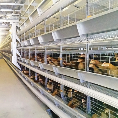 H Type Egg Layer Chicken Battery Cages Laying Hens Poultry Breeding Equipment