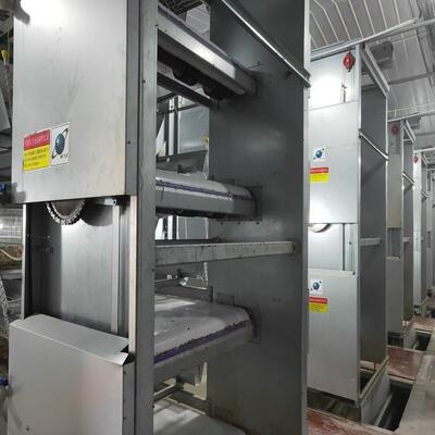 Hot-Dip Galvanized H Type Layer Cage with Automatic Feeding for Large Poultry Farm Projects