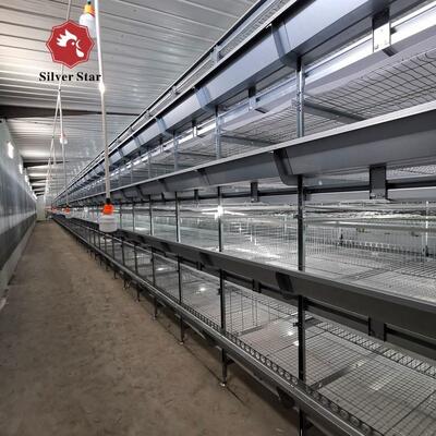 Hot-Dip Galvanized Steel Battery Layer Cage with Full Automatic Integrated System for 3-8 Tiers Poultry Farm Chicken Cage