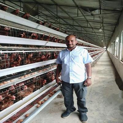 Full Automatic H-Type Layer Chicken Cage with Hot Dip Galvanized Drinkers and Feeders for Poultry Farm