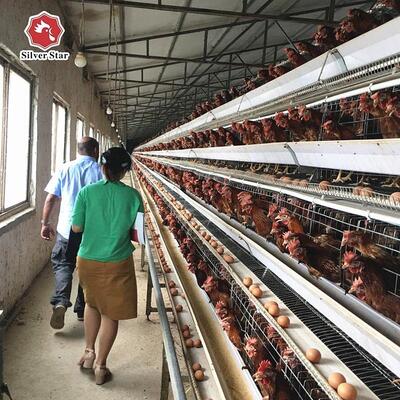 Fully Automatic Hot Galvanized 160 Birds Battery Chicken Cage Layer Chicken Cage Poultry Equipment