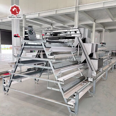 A-Type Layer Chicken Cage System with 3-Tier / 4-Tier Design, Automatic Feeding & Egg Collection, and Hot-Dip Galvanized Steel Construction
