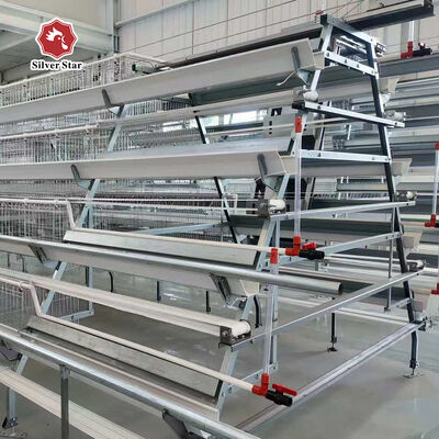 A Type Layer Chicken Cage with Hot-Dip Galvanized Steel and Automatic Feeding System for Poultry Farms
