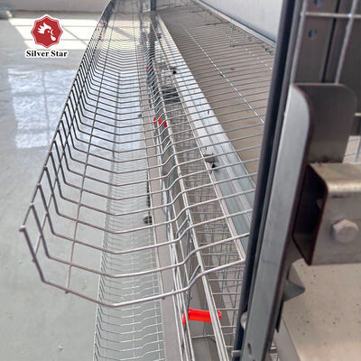 Turnkey H-Type Layer Battery Cage System for 50,000+ Birds with Hot-Dip Galvanized Steel and Full Automation