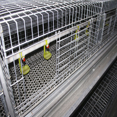 Galvanized Broody Chicken Cage , 3 Or 4 Floors Chicken Raising Equipment