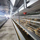 60-144 Broiler Poultry Equipment , ISO9001 Wire Bird Breeding Cages
