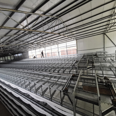 Galvanized Steel 5 Layers Battery Cage H Type Hens Cage For Egg Chicken