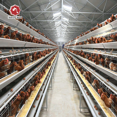 Philippines Galvanized Egg Layer Chicken Cage H Type 68KG ISO9001