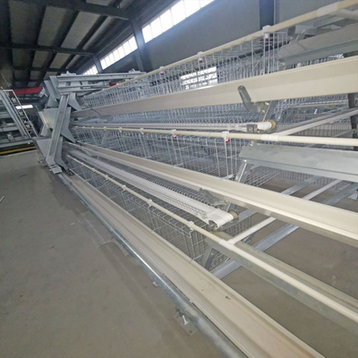 Full Automatic Hot Galvanized Layer Chicken Cage