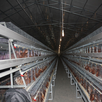 Full Automatic Battery Chicken Cage A Type Galvanized Silver Color