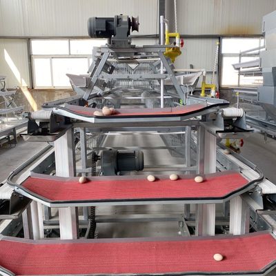 A Type Layer Chicken Cage System, Poultry Cage Equipment, Egg Layer Cage for Chicken Farm