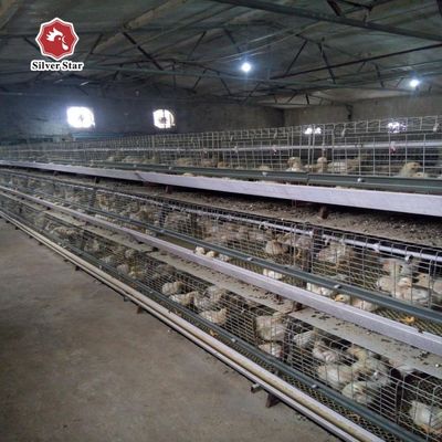 सर्वोत्तम मूल्य एक प्रकार का ब्रॉयलर पिंजरा प्रणाली 1000-50000 मुर्गियों के लिए स्वचालित एक प्रकार का ब्रॉयलर पिंजरा