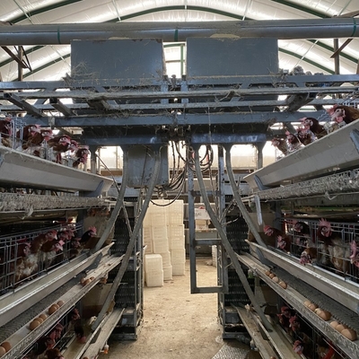 कुक्कुट एच टाइप 3 टीयर 4 टीयर अंडे देने वाली मुर्गियाँ परत अंडे मुर्गी का पिंजरा