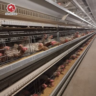 एच प्रकार परत चिकन पिंजरे प्रणाली वाणिज्यिक अंडा फार्मों के लिए स्वचालित पोल्ट्री उपकरण