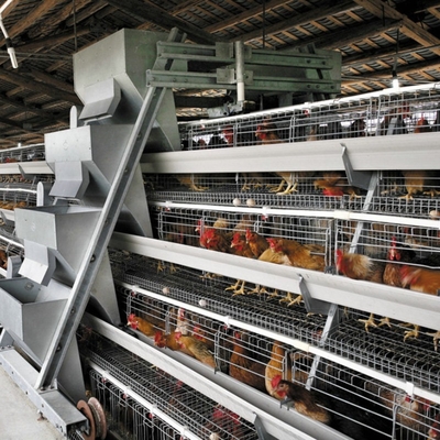 Hot Dipped Galvanized A Type Layer Chicken Cage For Farm