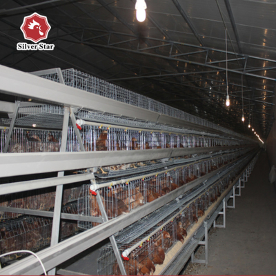 Sturdy Q235A 4 Tier A Type Egg Layer Chicken Cage For Poultry Farm