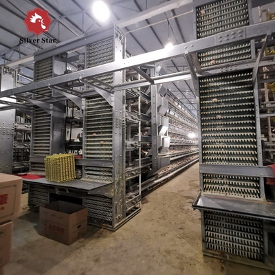 H Type Layer Chicken Cage Fully Automatic 195*230*150 For Poultry Farm