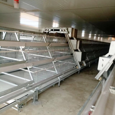 3-4 Doors Automatic Battery Chicken Cages 160 Chickens With Egg Collecting System