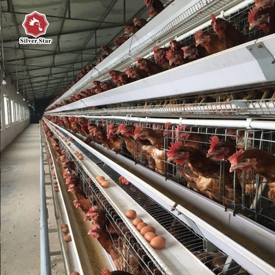 Automatic 4 Layer Battery Poultry Chicken Cage Chicken Layer Farming Equipment