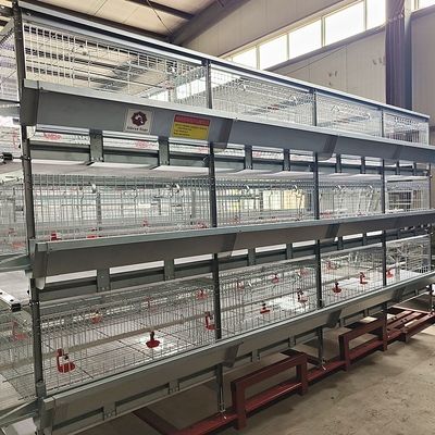 Automated H-Type Broiler Cage System - Hot-Dip Galvanized High-Density Commercial Poultry Farming Equipment
