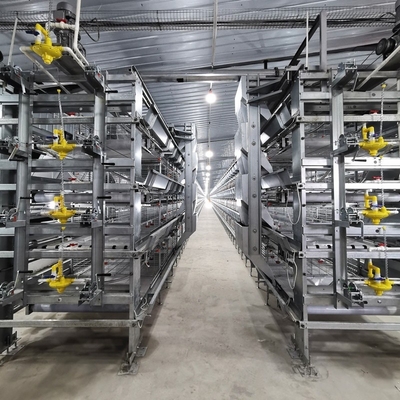 पोल्ट्री फार्मिंग उपकरण एच प्रकार स्वचालित प्रणाली बैटरी ब्रोइलर चिकन पिंजरे