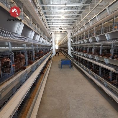एच-टाइप स्वचालित परत बैटरी पिंजरे प्रणाली -- हेनान सिल्वर स्टार