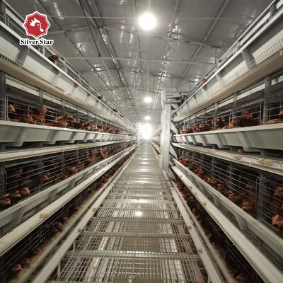 3-8 स्तरों में 54-216 मुर्गियों के लिए 20 साल के सेवा जीवन के साथ एच टाइप लेयर चिकन पिंजरा