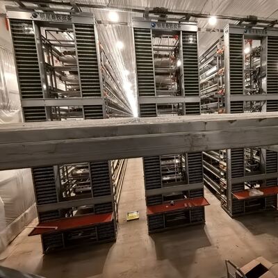 भारी बैटरी चिकन पिंजरे को व्यावसायिक फार्मों में अंडे के उत्पादन को अनुकूलित करने और पोल्ट्री स्वास्थ्य में सुधार के लिए डिज़ाइन किया गया है