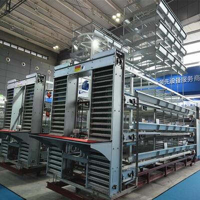 Turnkey H-Type Layer Battery Cage System for 50,000+ Birds with Hot-Dip Galvanized Steel and Full Automation