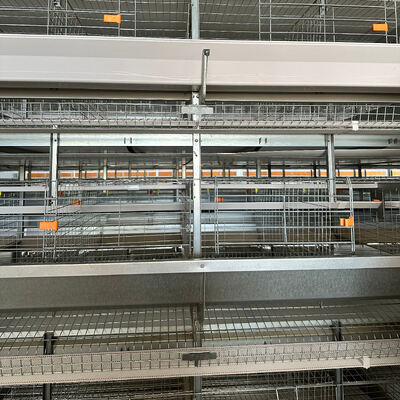 Industrial H-Type Automatic Layer Hen Battery Cage System for High-Yield Egg Production