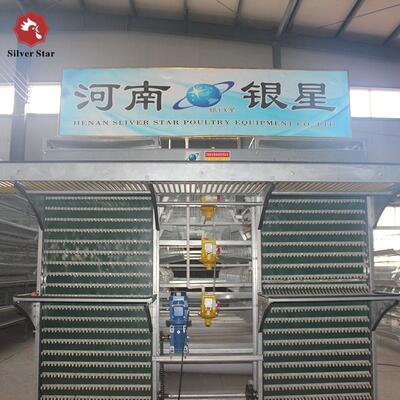 Industrial H-Type Automatic Layer Hen Battery Cage System for High-Yield Egg Production