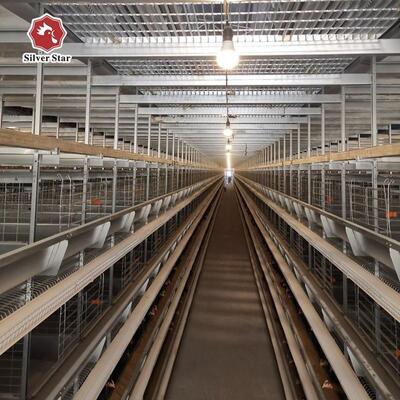 Hot-Dip Galvanized Steel Battery Layer Cage with Full Automatic Integrated System for 3-8 Tiers Poultry Farm Chicken Cage
