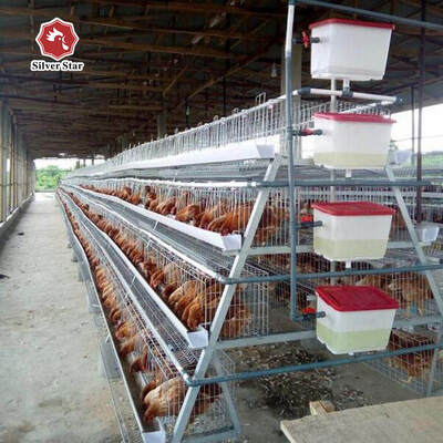 Automatic Egg Laying Battery Chicken Cage 3/4 Tiers for 120 Chickens Poultry Farm Cage