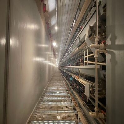 बैटरी चिकन पिंजरे संक्षारण प्रतिरोधी लंबे समय तक चलने वाले पोल्ट्री उपकरण बड़े फार्मों के लिए उपयुक्त