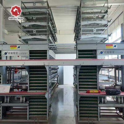Automatic Layer Chicken Cage Equipment Battery Cage System for Layer Chickens