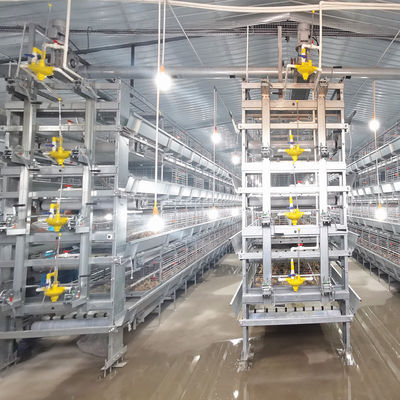 SONCAP 1 To 45 Days Battery Cage For Broilers Modern A / H Frame